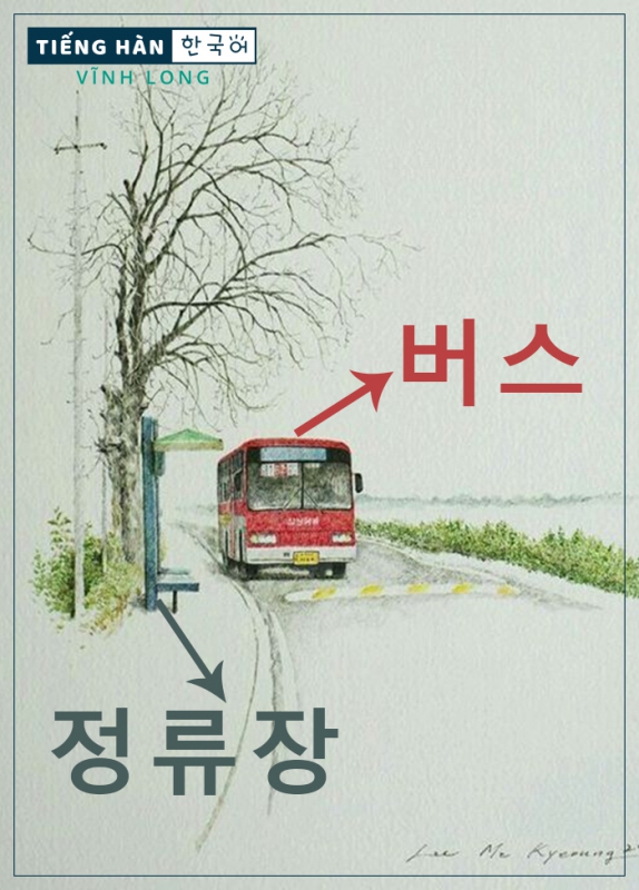 버스: xe buýt (bus), 정류장: bến xe